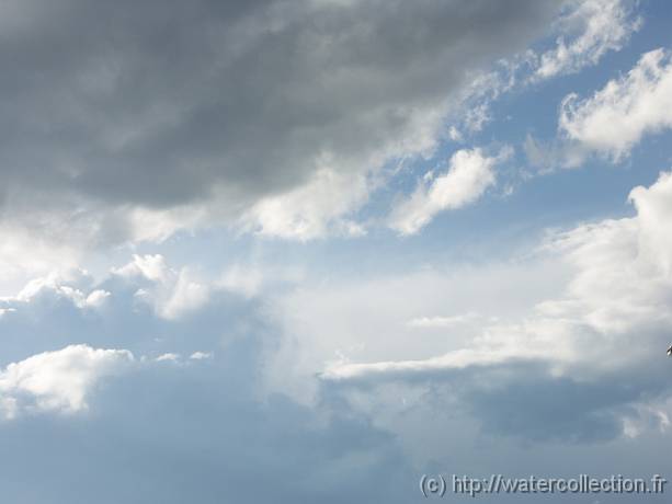 2004-08-20 18-29-18 Nature 104,0mm 1_500_eme F7,1 